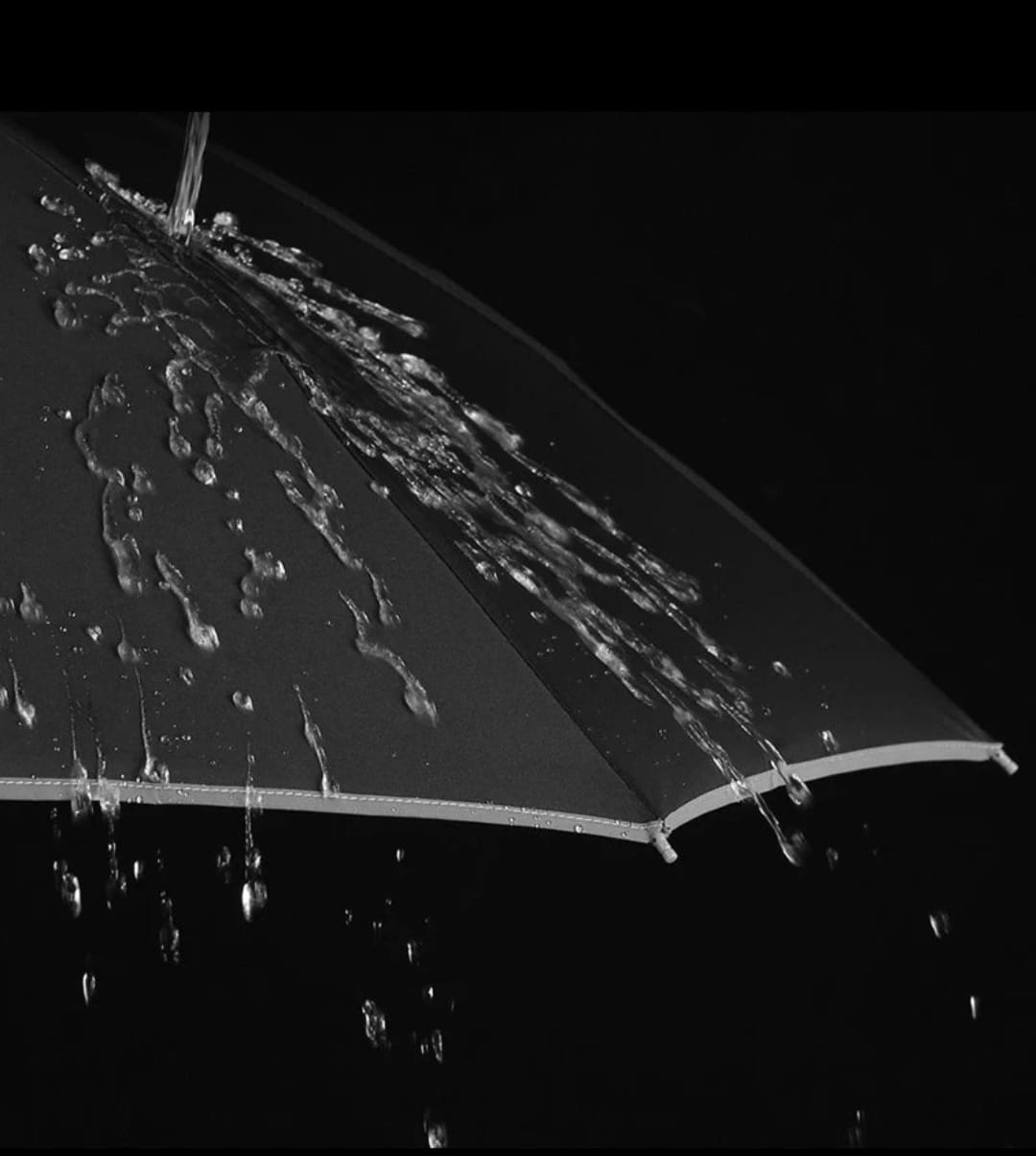 AutoShade Pro™ – Parasol Automático Plegable para Auto